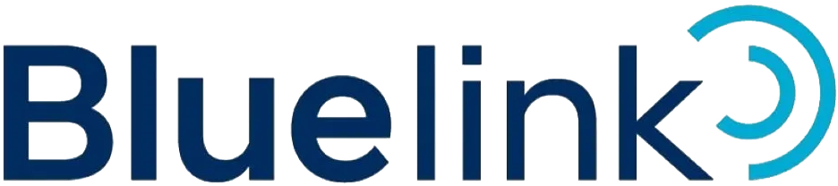 블루링크 로고